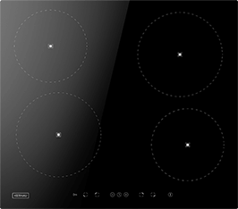 Induktionsfeld Reparatur Radebeul